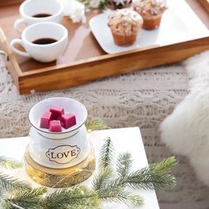 Scentsy LOVE Warmer